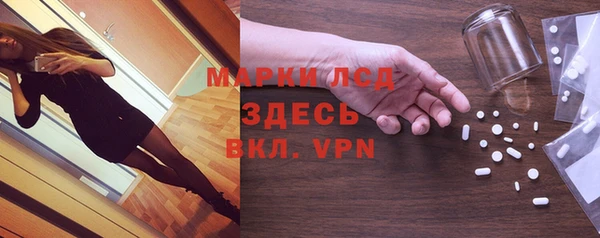 амф Ельня