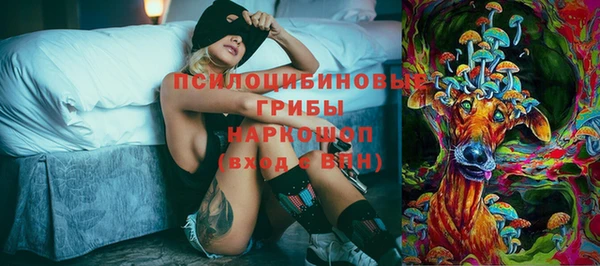 гашик Алексеевка