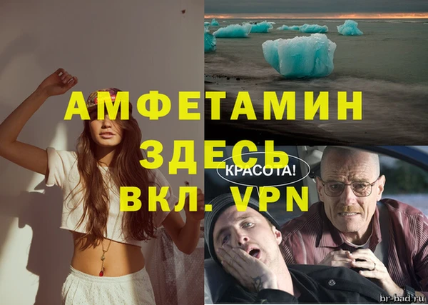 гашик Елизово
