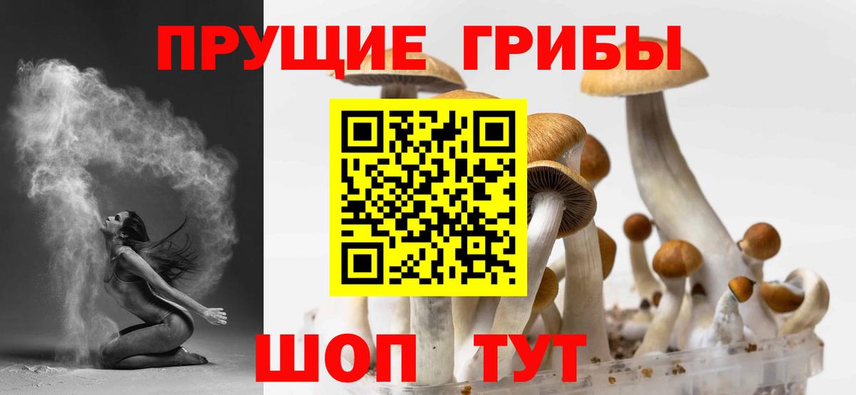 Галлюциногенные грибы Psilocybine cubensis Салават